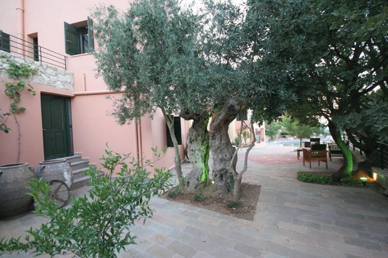 Agathes Traditional Houses Kástellos 객실 사진